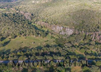 Terreno agricolo SP110, Padru - foto 18