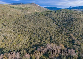 Terreno agricolo SP110, Padru - foto 19
