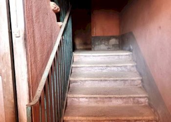 Scala - Rustic hamlet Madonna Delle Grazie, Cuneo - photo 14