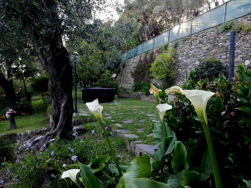 Giardino - Villa a Schiera via Franco Solimano, Pieve Ligure - foto 3