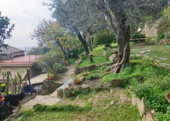 Giardino - Villa a Schiera via Franco Solimano, Pieve Ligure - foto 42
