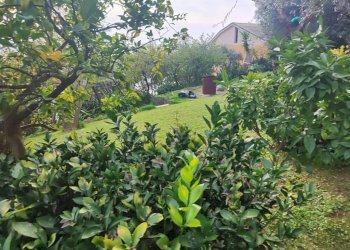 Giardino - Villa a Schiera via Franco Solimano, Pieve Ligure - foto 43