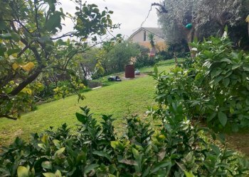 Giardino - Villa a Schiera via Franco Solimano, Pieve Ligure - foto 44