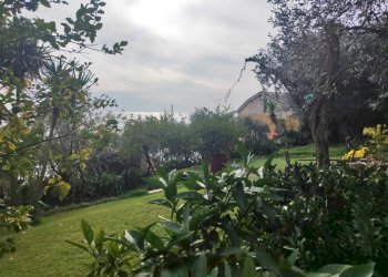 Giardino - Villa a Schiera via Franco Solimano, Pieve Ligure - foto 50