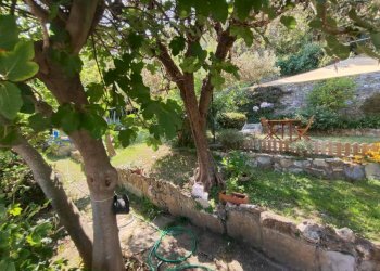 Giardino - Villa a Schiera via Franco Solimano, Pieve Ligure - foto 4