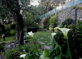 Giardino - Villa a Schiera via Franco Solimano, Pieve Ligure - foto 3