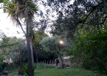 Giardino - Villa a Schiera via Franco Solimano, Pieve Ligure - foto 5