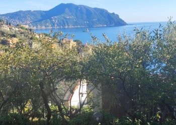 Vista - Villa a Schiera via Franco Solimano, Pieve Ligure - foto 10