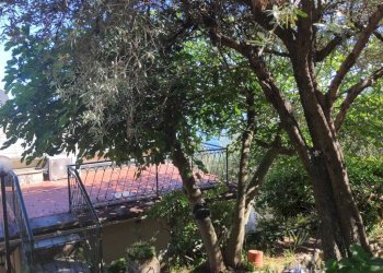 Giardino - Villa a Schiera via Franco Solimano, Pieve Ligure - foto 44