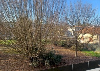 Terreno - Trilocale Bomporto - foto 34