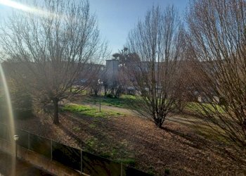 Terreno - Trilocale Bomporto - foto 35