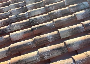 Villa Bifamiliare Siniscola - foto 12