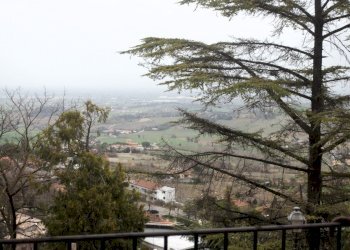 Appartamento Bertinoro - foto 7