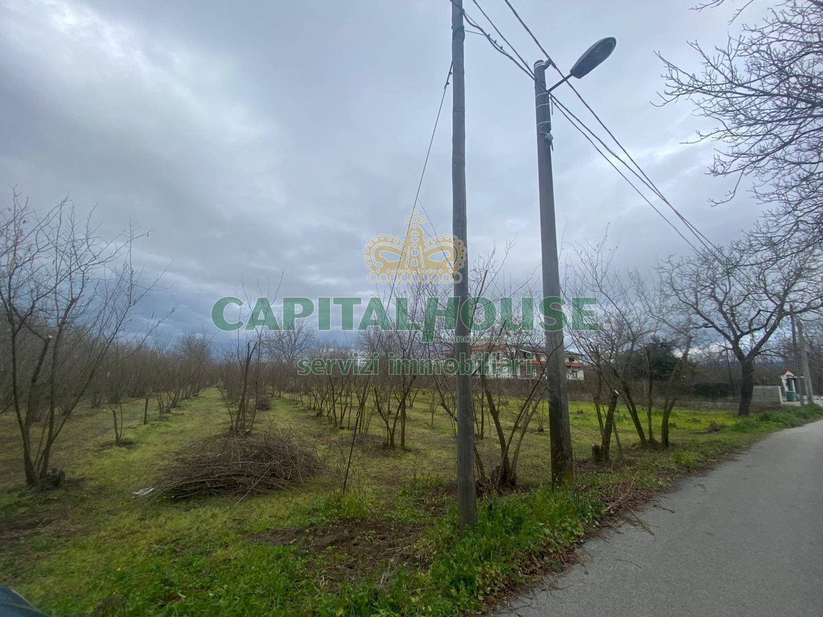 Terreno agricolo Saviano - foto 1