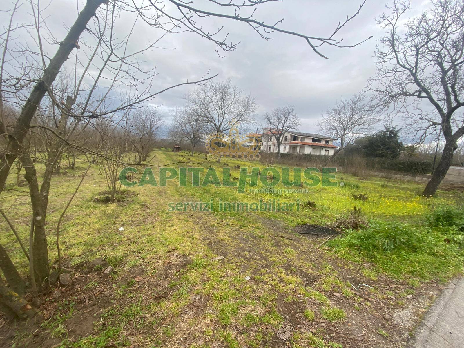 Terreno agricolo Saviano - foto 2