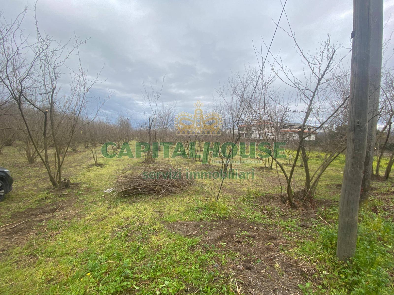 Terreno agricolo Saviano - foto 3