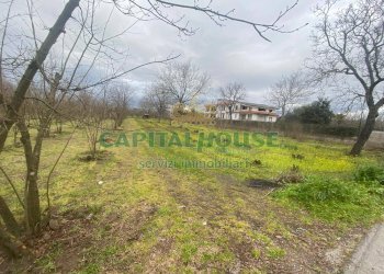 Terreno agricolo Saviano - foto 2