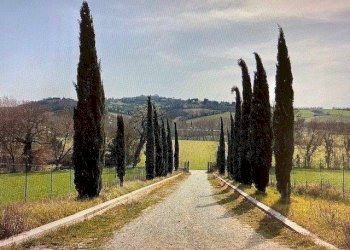 Terreno - Rustico strada Provinciale Carignano, Fano - foto 4