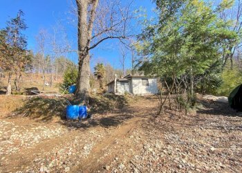 Terreno - Rustico SP211, Chiusa di Pesio - foto 3