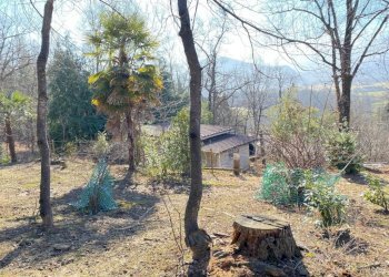 Terreno - Rustico SP211, Chiusa di Pesio - foto 5