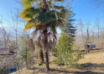 Terreno - Rustico SP211, Chiusa di Pesio - foto 6