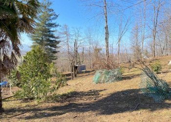 Terreno - Rustico SP211, Chiusa di Pesio - foto 7