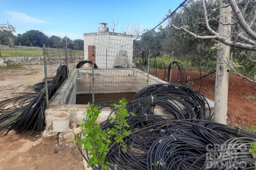 Terreno - Terreno agricolo largo Stazione Cisternino, Fasano - foto 2