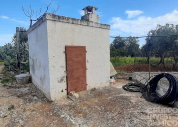 Terreno - Terreno agricolo largo Stazione Cisternino, Fasano - foto 1