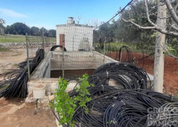 Terreno - Terreno agricolo largo Stazione Cisternino, Fasano - foto 2