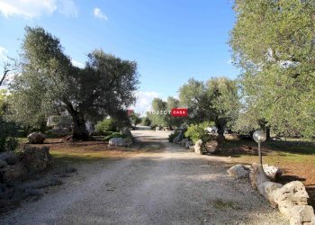 Trullo C.da Genovese, Ceglie Messapica - foto 22