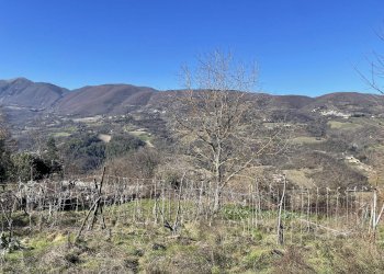 Rustico Cerreto di Spoleto, Cerreto di Spoleto - foto 13