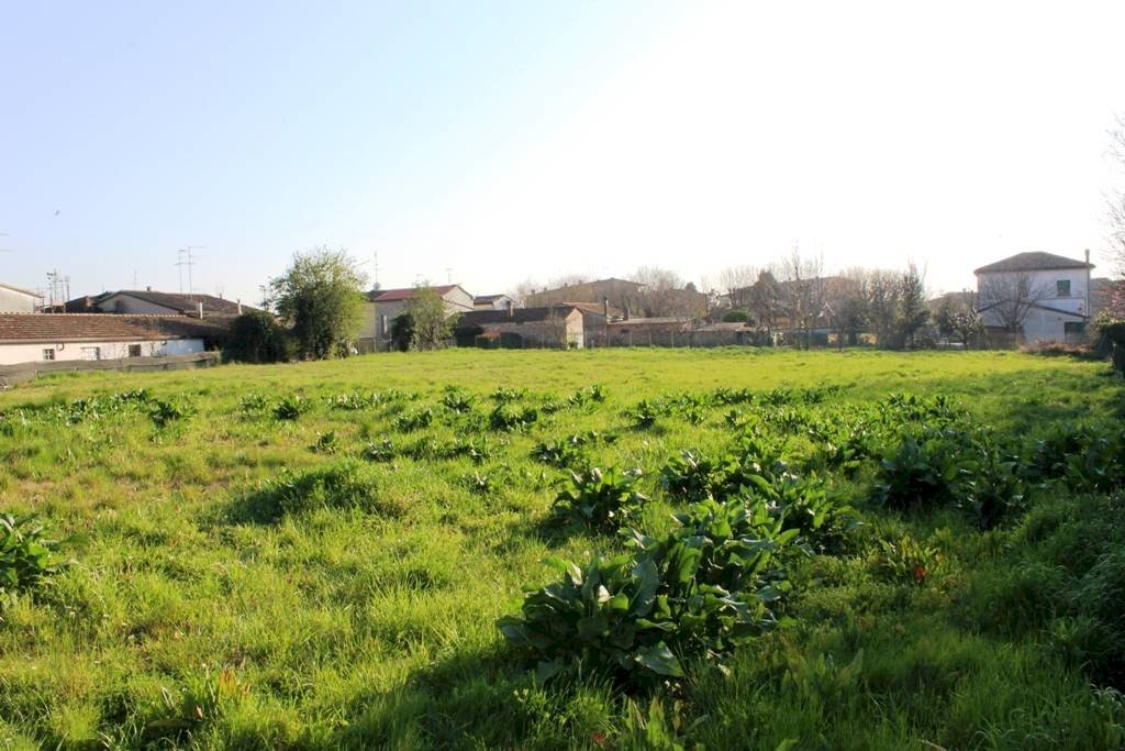 Terreno edificabile via Fiumazzo - Voltana, Lugo - foto 2