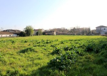 Terreno edificabile via Fiumazzo - Voltana, Lugo - foto 2