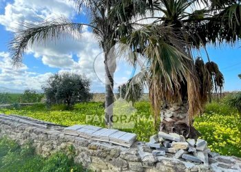 Terreno edificabile contrada Valguarnera, Partinico - foto 4