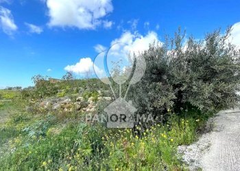 Terreno edificabile contrada Valguarnera, Partinico - foto 8