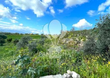 Terreno edificabile contrada Valguarnera, Partinico - foto 13