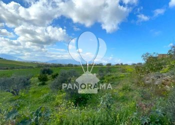 Terreno edificabile contrada Valguarnera, Partinico - foto 17