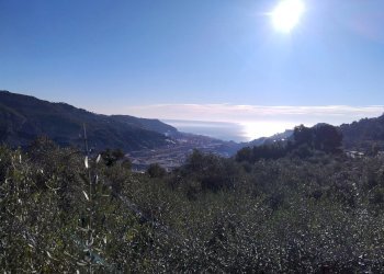 Terreno agricolo Via Sant'Anna, Ventimiglia - foto 4