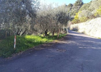 Terreno agricolo Via Sant'Anna, Ventimiglia - foto 5