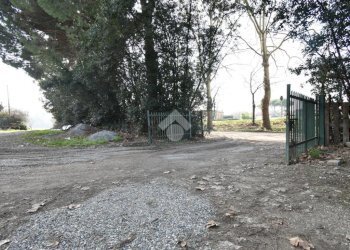 Rustico Via Provinciale Gatteo, Savignano sul Rubicone - foto 4