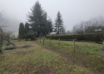 Cascina Frazione Castiglione, 172b, Asti - foto 6