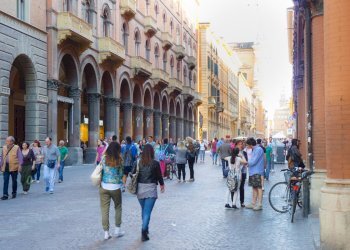 Negozio Bologna - foto 5