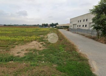 Terreno edificabile Via Mondovi, Fossano - foto 6