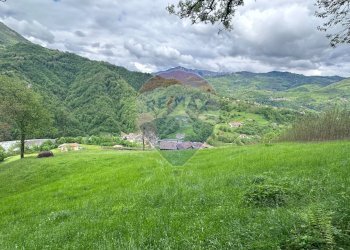 Terreno agricolo San Giovanni Bianco - foto 5
