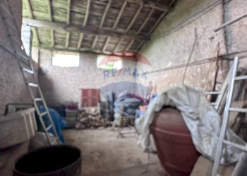 Terreno agricolo San Giovanni Bianco - foto 6