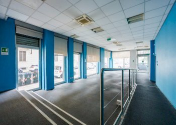 Capannone Corso Turati, Torino (zona Crocetta) - foto 3