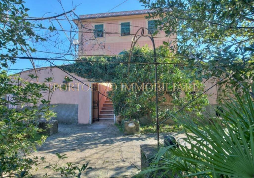 Giardino - Appartamento Camogli - foto 3