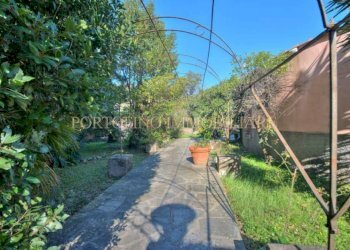 Giardino - Appartamento Camogli - foto 2