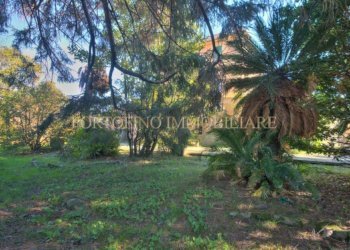 Giardino - Appartamento Camogli - foto 4