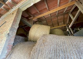 Villa Borgo Tossignano - foto 8